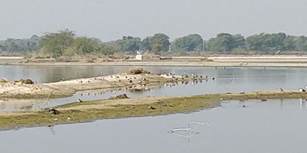 Bird Race, Jaipur Bird Race, Bird Race in Jaipur, BirdRace, Bird watching, Birds, Sunjoy Monga, HSBC