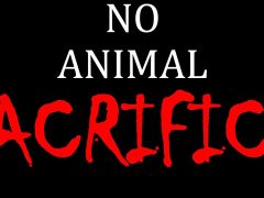 No-Animal-Sacrifice