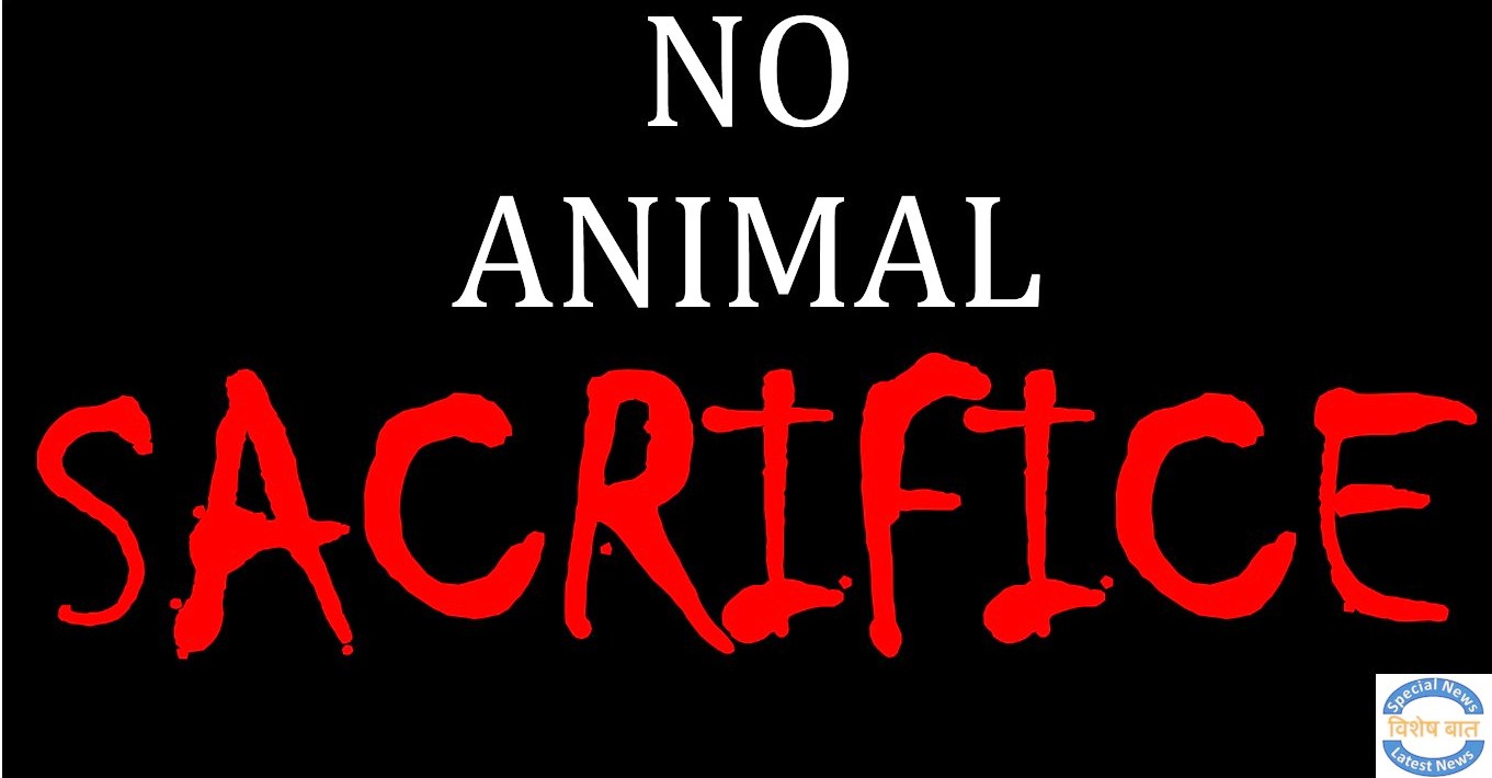 No-Animal-Sacrifice