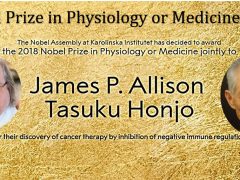 2018 Nobel Prize in Physiology or Medicine