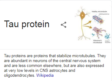 What is Tau Protein