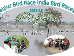 Jaipur Bird Race 2018-19