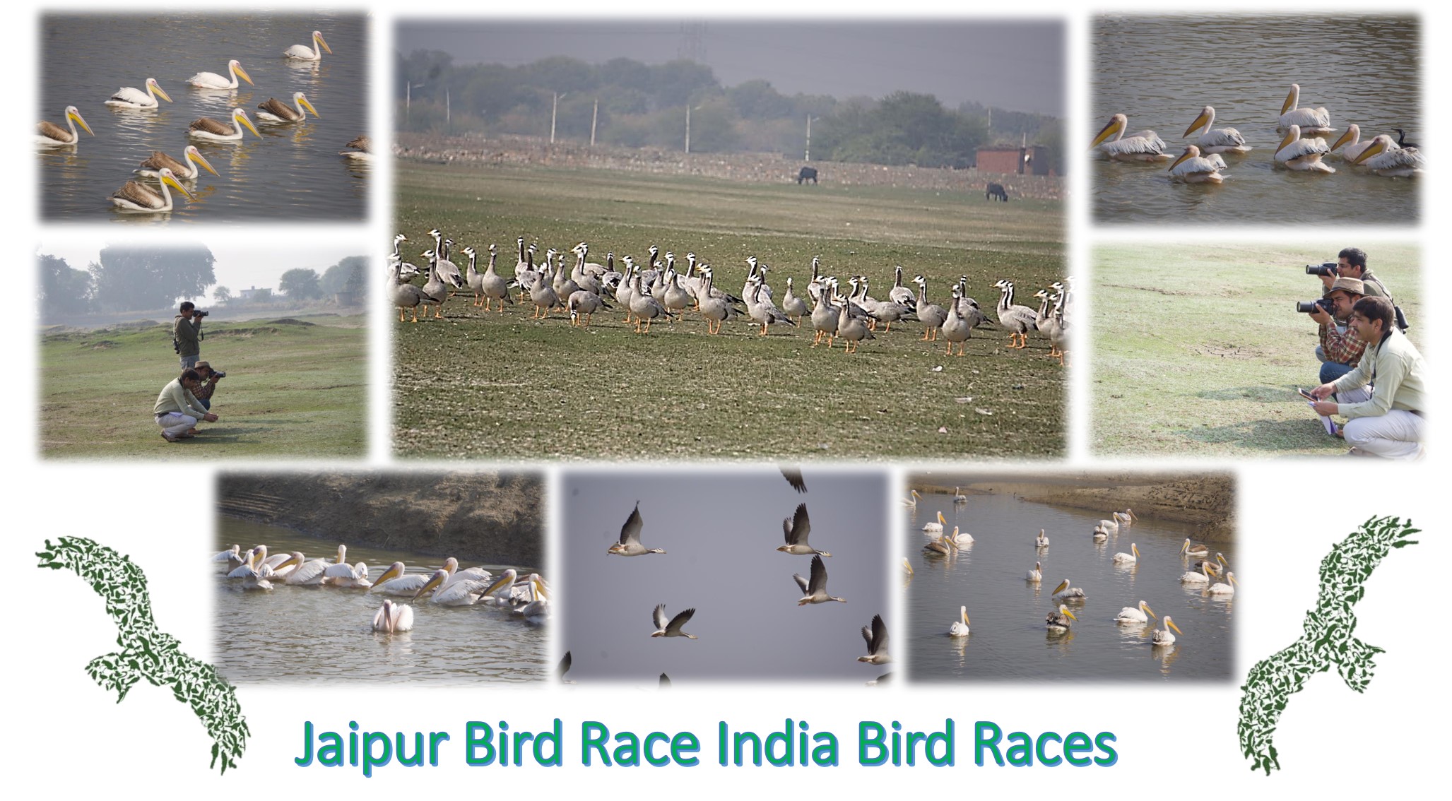 Jaipur Bird Race 2018-19-Event-photos-11