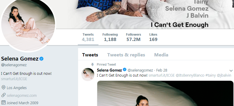 Selena Gomez Twitter Followers