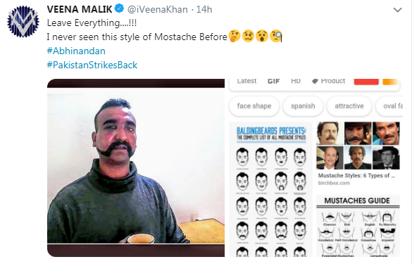 Veena Malik Tweet On Abhinandan Moustache 