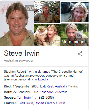 Who Was Steve Irwin