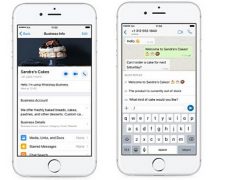 Whatsapp Business for iphone-photo-image