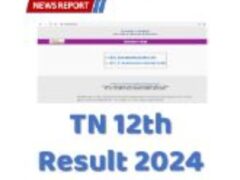 TN 12th Result 2024 - Where to Check Result - 94percent pass Class 12-1