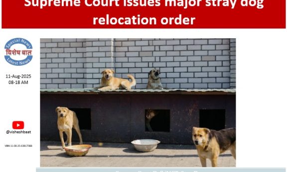 supreme-court-orders-relocation-of-delhi-ncr-stray-dogs