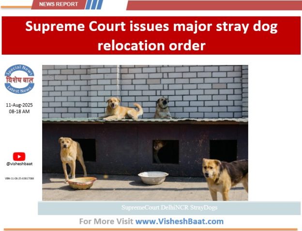 Supreme Court orders relocation of Delhi NCR stray dogs